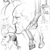 hooves studies