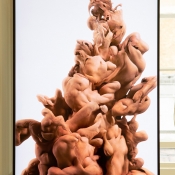 Entangled-6_web