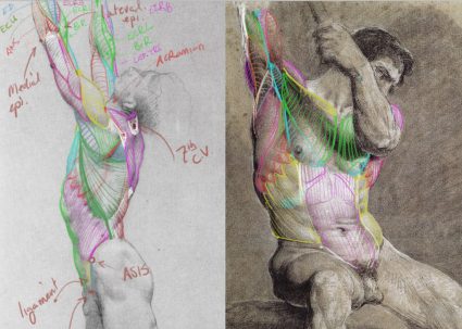 In class ecorche studies - Scott Eaton's Essential Anatomy