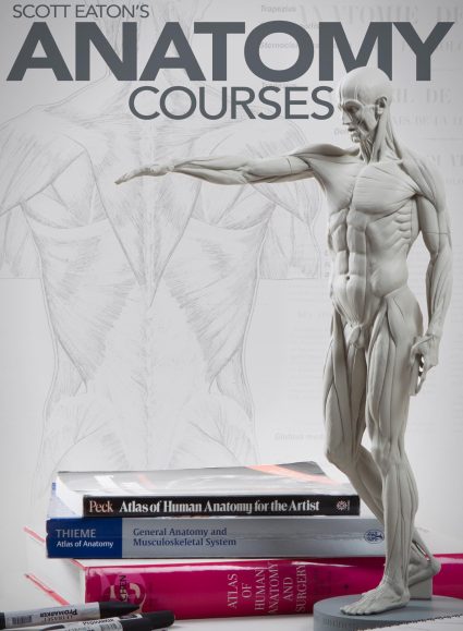 Scott Eaton's Anatomy and Figure Sculpture courses