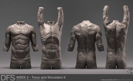 Week 2 Exercise - Scapulohumeral Rhythm