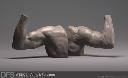 Week 3 Exercise - Arms and Forearms in Zbrush