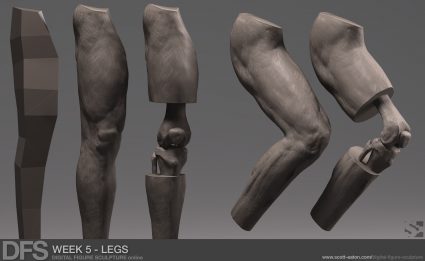 Week 5 Exercise - Legs in ZBrush"