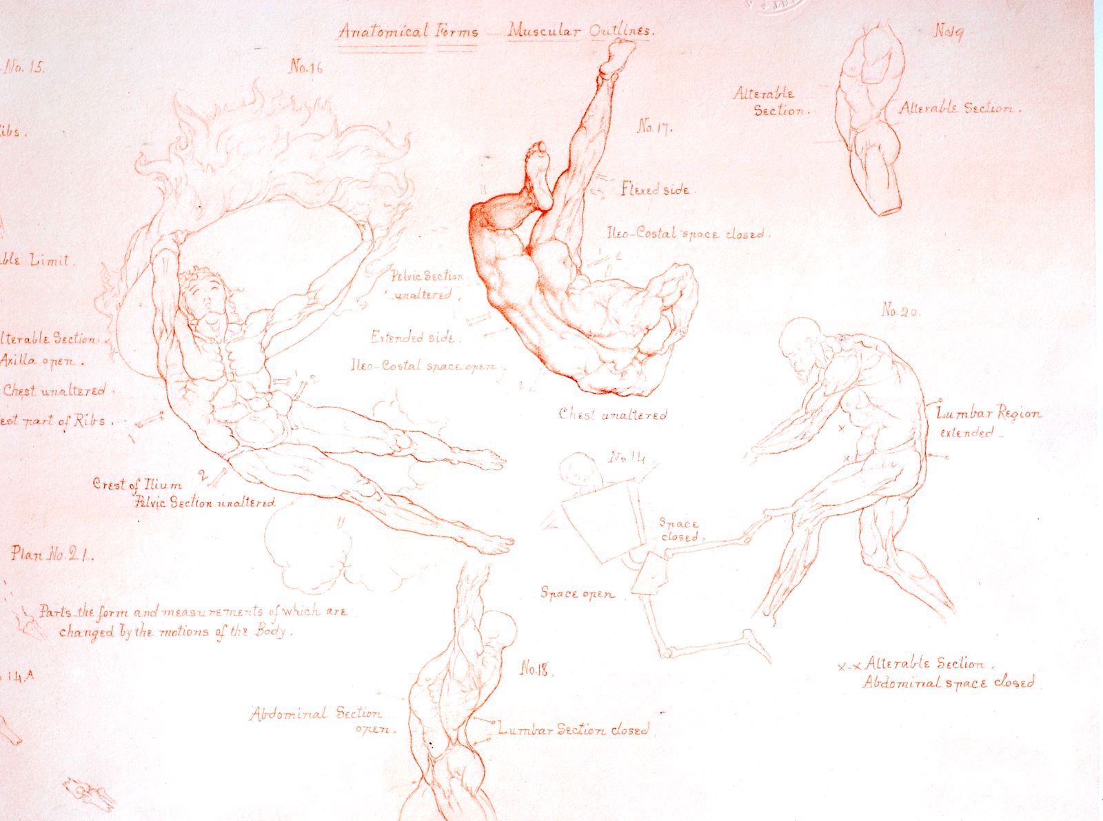 Анатомия падения оскар. Уильям Риммер / William Rimmer. Art Anatomy Rimmer, William. Скотт Итон анатомия. Божественная анатомия.